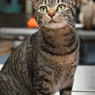  甘えん坊のチューラ！