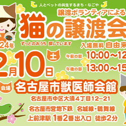 猫の譲渡会☆大須商店街近く