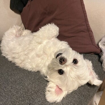 の写真