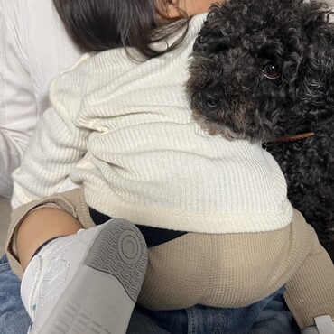 の写真