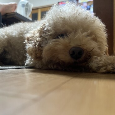 の写真