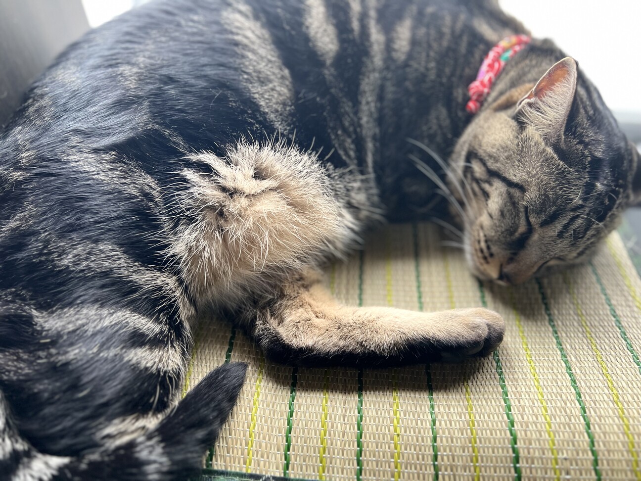 さくらこ