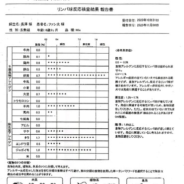 最新アレルギー検査結果