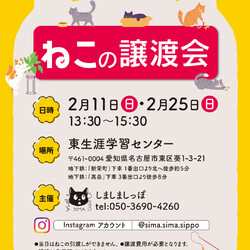 しましましっぽ譲渡会