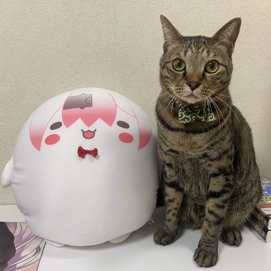 大河のカバー写真