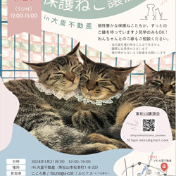 東松山市保護ねこ譲渡会