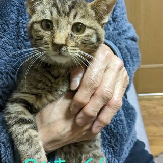 段ボールに入れられて棄てられました