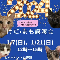 けだ・まも譲渡会