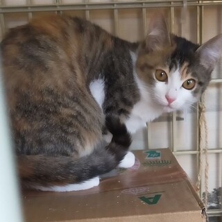 お問合せがあり一旦停止中です