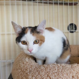 お問合せがあり一旦停止中です