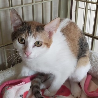 お問合せがあり一旦停止中です