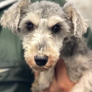 23-W423 大人しくお利口さん♪