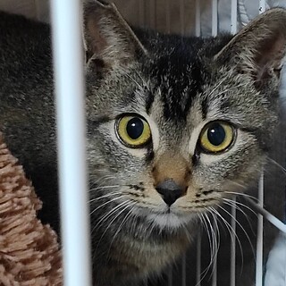 〝タロちゃん♂〟です♪