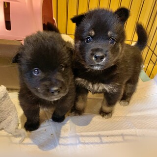 ミルク育ちの甘えん坊さん♡