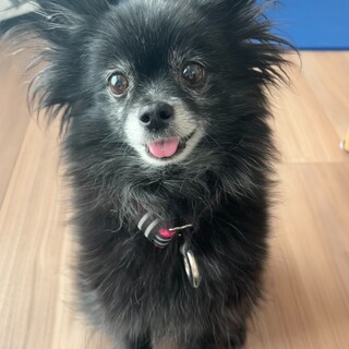 ヒジキたんからの推し活受けたい方募集中！