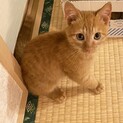 抱っこだーいすき♡甘えん坊のレオンくん♡