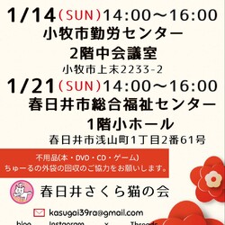 保護猫の譲渡会in小牧