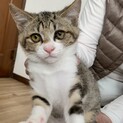 ワンちゃんとも仲良し☆ミータ君