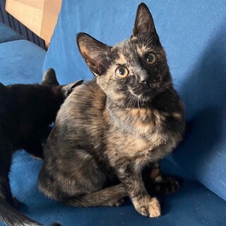 元気一杯★ロンちゃん