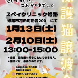 保護猫の譲渡会