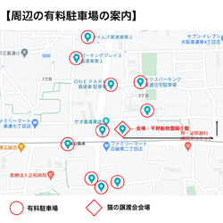 猫と遊べる譲渡会 サムネイル2