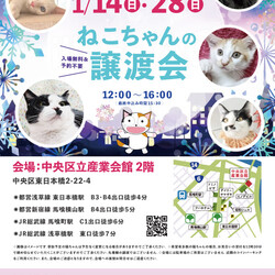 ねこざんまい譲渡会@東日本橋