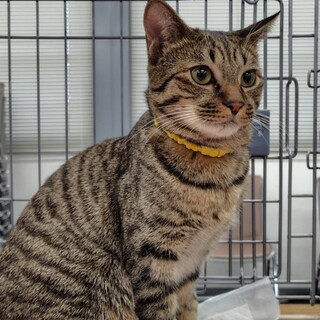 E31　エリック（仮）くん