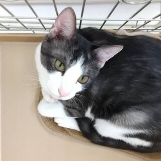 J31　ジョジョ君