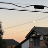 なおあやさん