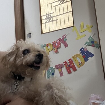 14歳誕生日
