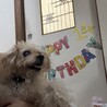 14歳誕生日