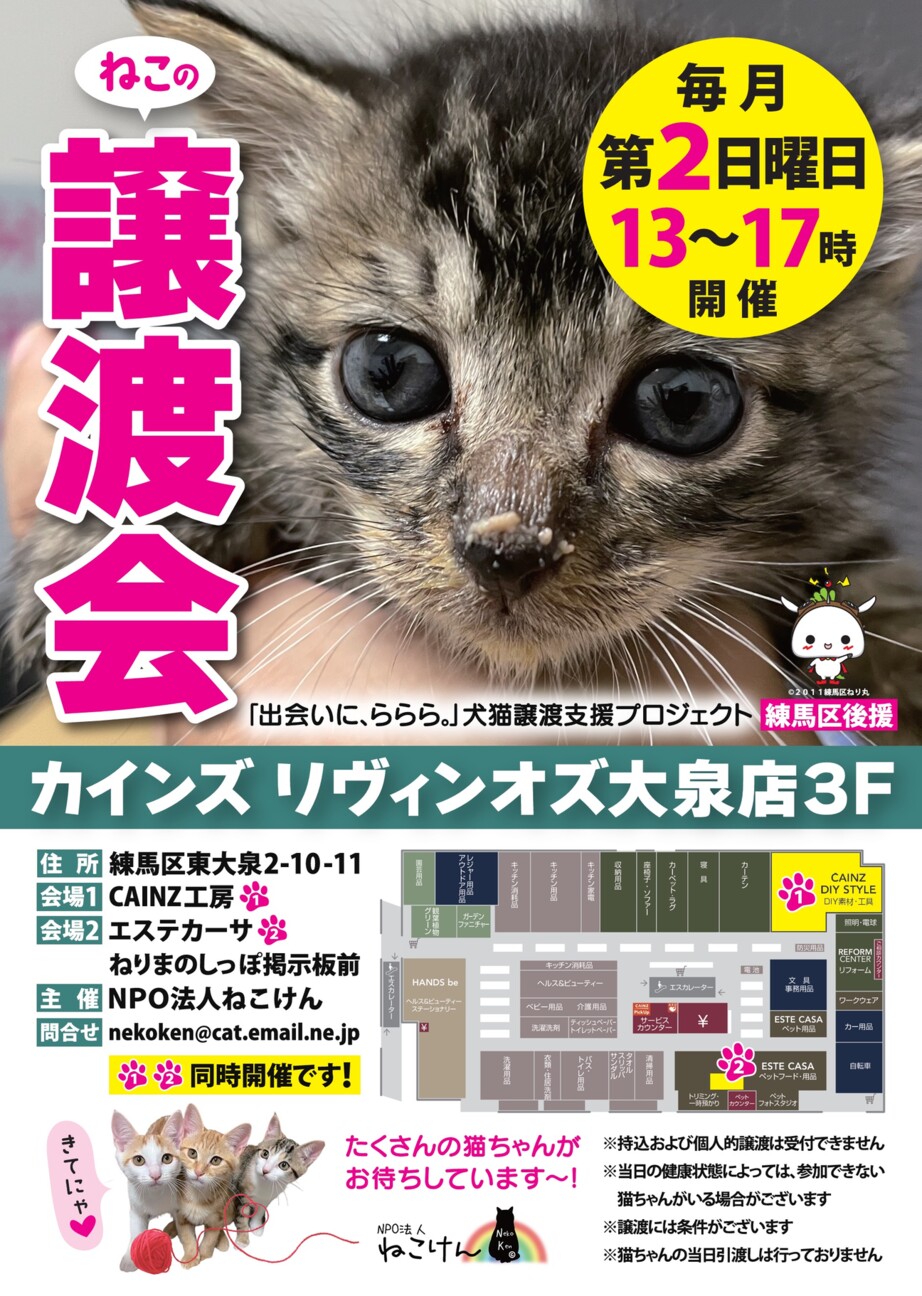 ねこけん譲渡会（カインズ」（NPO法人ねこけんのイベント #20957