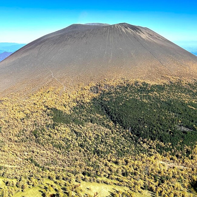 ミカゾンのカバー写真