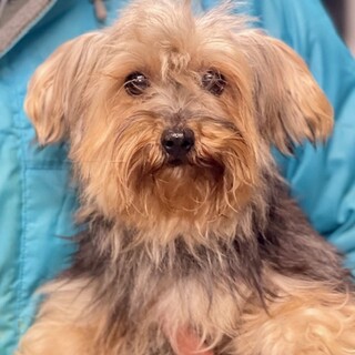 23-W375　元気いっぱい女子！！