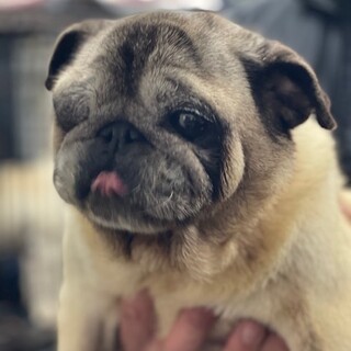 22-W298　どうぞ、目を向けてあげて下さい！！