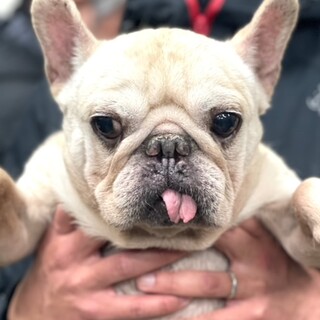 ★シニア部★23-M401　元気いっぱい♪