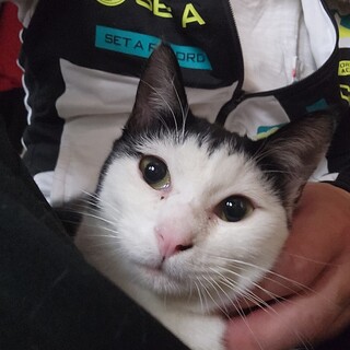 甘えんぼうのスパッちゃん