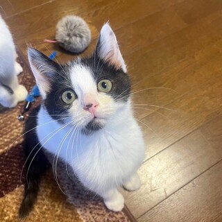 3兄妹♡元気いっぱい！希くん