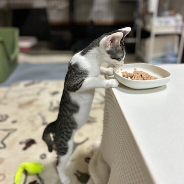 独特な食べ方…