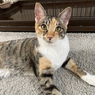 1/14稲毛海岸ෆ⃛人馴れ抜群ෆ⃛おかかちゃん