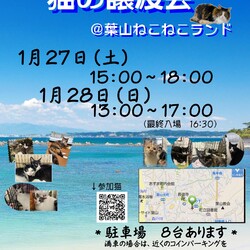 新春保護猫譲渡会