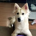 とっても可愛いウニちゃん♡