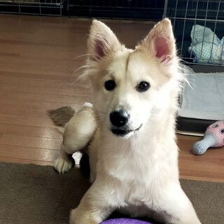 とっても可愛いウニちゃん♡