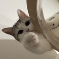 2歳の女の子です