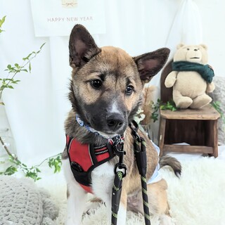 幸せなご縁に恵まれました。ありがとうございました。