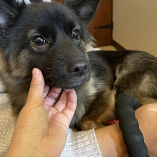 実は甘えたさん！？小柄な女の子「ちっち」☆