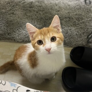 1/21千葉ෆ⃛抱っこ大好きෆ⃛ぽんたくん