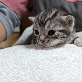 ありのままを受け入れて下さる方