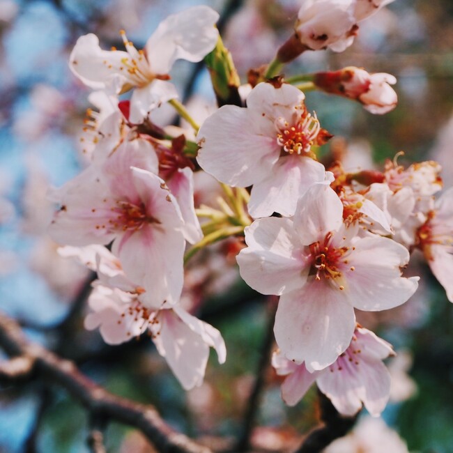 中邑のカバー写真
