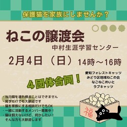保護猫譲渡会　名古屋市中村区